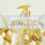 【名医のTHE太鼓判】ピーナッツもやしは最高のダイエット食材