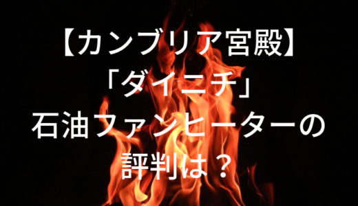 【カンブリア宮殿】石油ファンヒーター「ダイニチ」の評判は？【2019年】人気商品は？