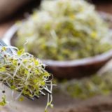 ブロッコリースプラウトの食べ方｜種は食べる？取り方は？