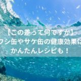 【この差って何ですか】-イワシ缶やサケ缶の健康効果は？-かんたんレシピも！