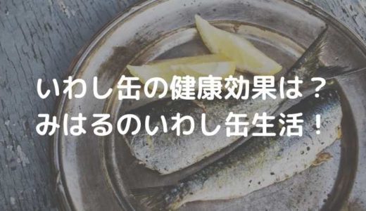 【梅ズバ】いわし缶の健康効果は？みはるのいわし缶生活！レシピも！
