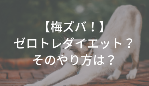 【梅ズバ】「ゼロトレダイエット」のやり方は？１日５分のストレッチで劇的な変化が？