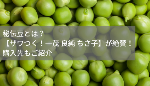 秘伝豆とは？【ザワつく！一茂 良純 ちさ子】が絶賛！マダムがざわつくスーパーフード！