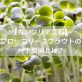 ブロッコリー「スーパー」スプラウトで大人気「村上農園」とは！？
