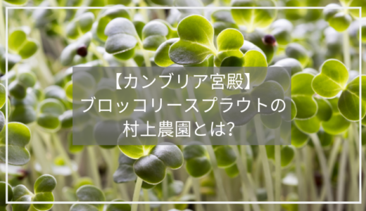 【カンブリア宮殿】ブロッコリースーパースプラウトで大人気「村上農園」とは！？