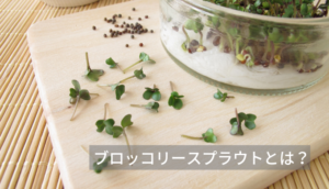 ブロッコリースプラウトとは？