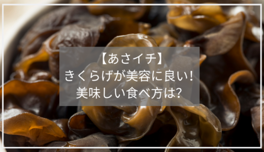 【あさイチ】きくらげの美味しい食べ方と美容効果！白きくらげのトレハロースがお肌に良い！