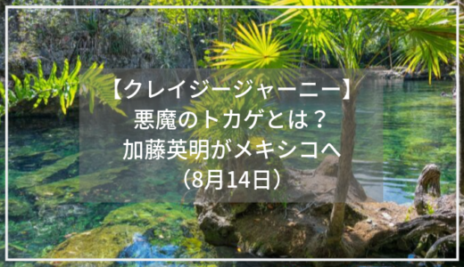 【クレイジージャーニー】爬虫類ハンター加藤英明がメキシコへ｜8月14日