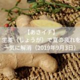 【あさイチ】しょうが（生姜）ダイエット。夏の疲れも一気に解消（2019年9月3日）