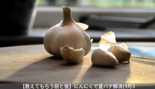 【教えてもらう前と後】にんにくで夏バテ解消。にんにく醤油漬けの作り方(9月3日)