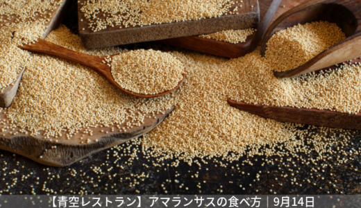 【青空レストラン】アマランサスとは？健康効果と通販先のまとめ｜9月14日