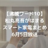 【沸騰ワード10】松丸亮吾がはまるスマート家電まとめ｜6月5日放送
